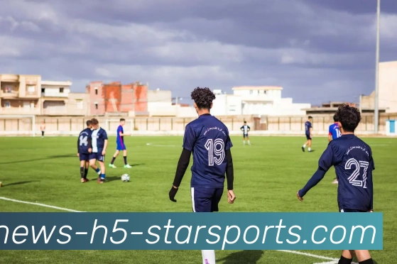 星空体育平台生态图